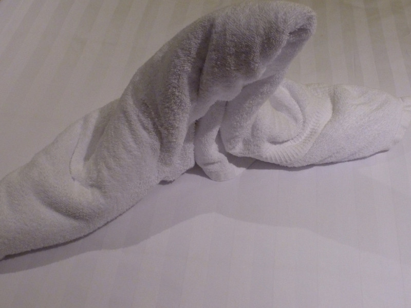 Towel Animal of the Night