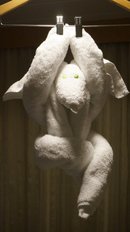Towel Animal for the Night. 