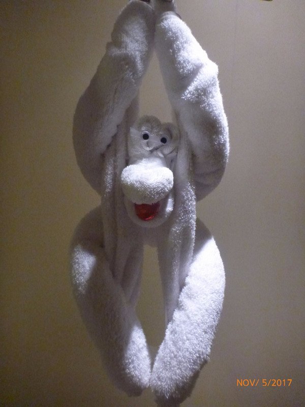 Our Towel Monkey