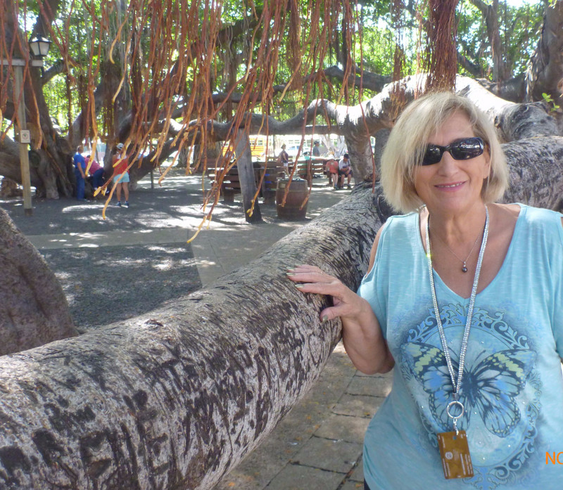 Karen at the Banyan Tree