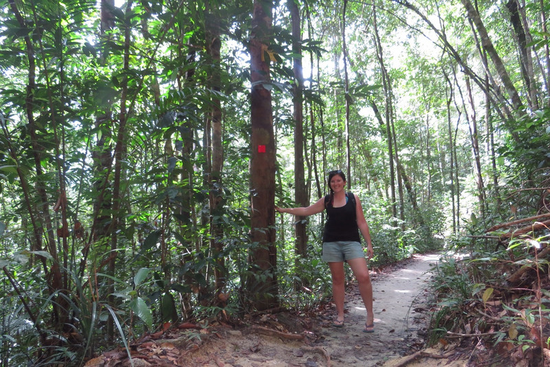 Rainforest hike 