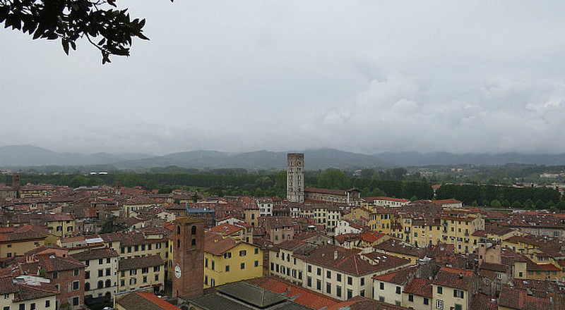 View from Torre Guinigi