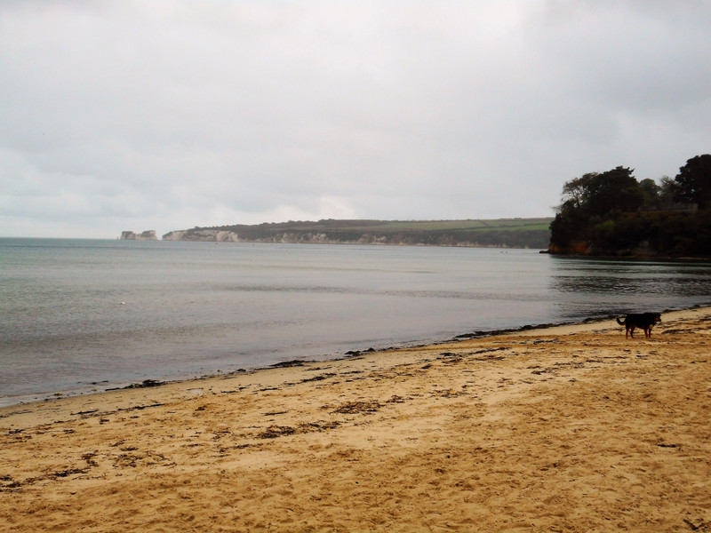 171011 3 Middle Beach to Old Harry Rocks