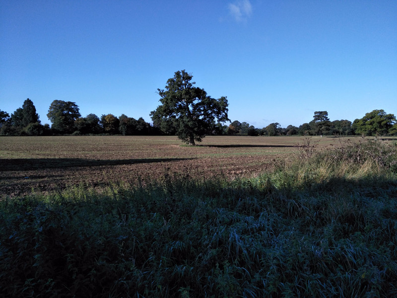 170912 Fields beside the lane into the village