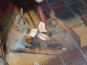 Rabbits playing poker