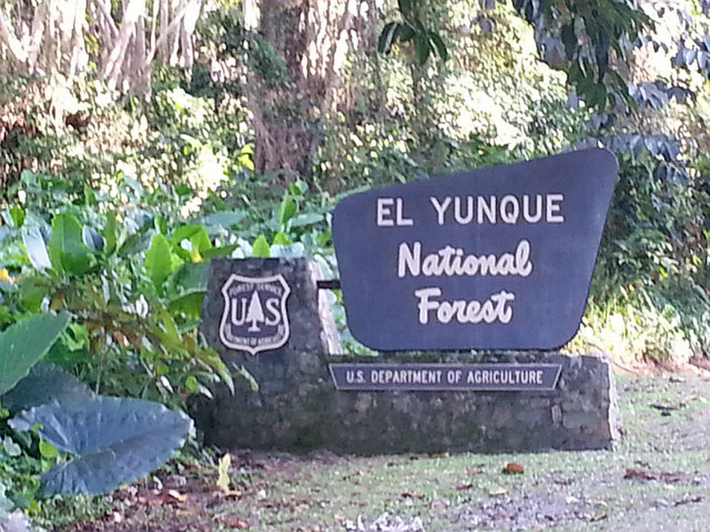 El Yunque National Forest