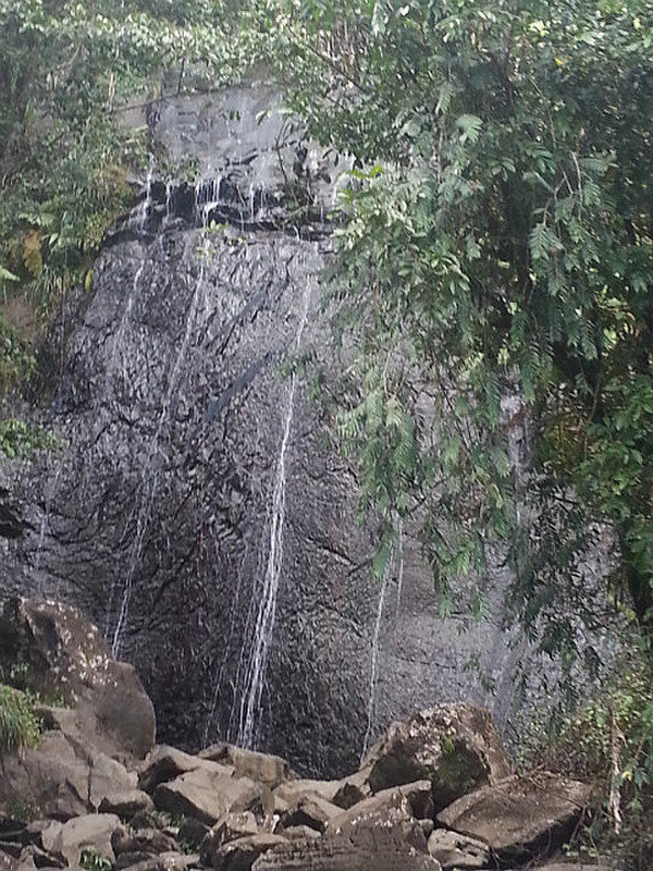 La Coca Falls El Yunque National Forest