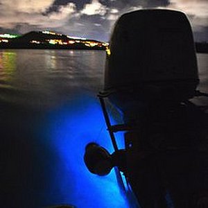 Bioluminescent Bay Laguna Grande