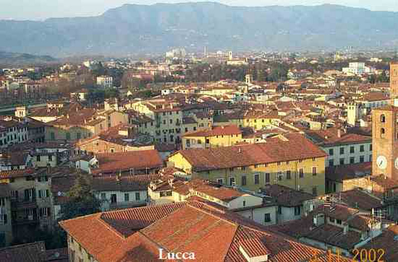 Lucca from the top of the bell tower