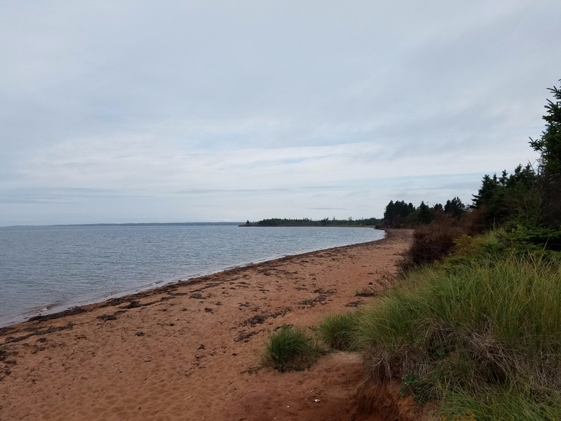 The eastern shores of Prince Edward Island