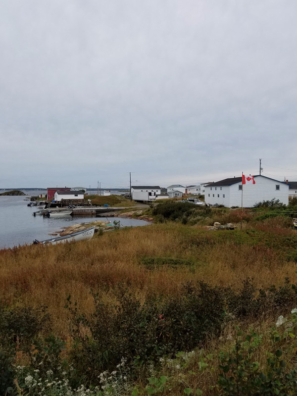A Newfoundland fishing village.