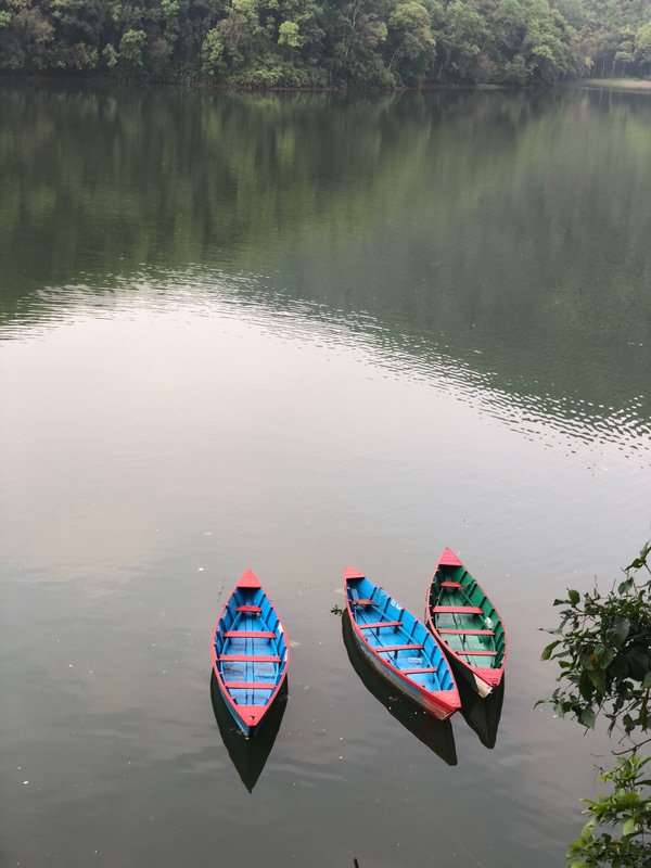 Fewa boats on lake in Pokhara