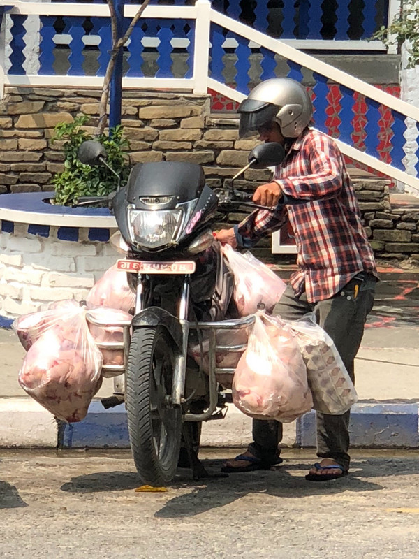 Chicken and egg delivery in Pokhara. 