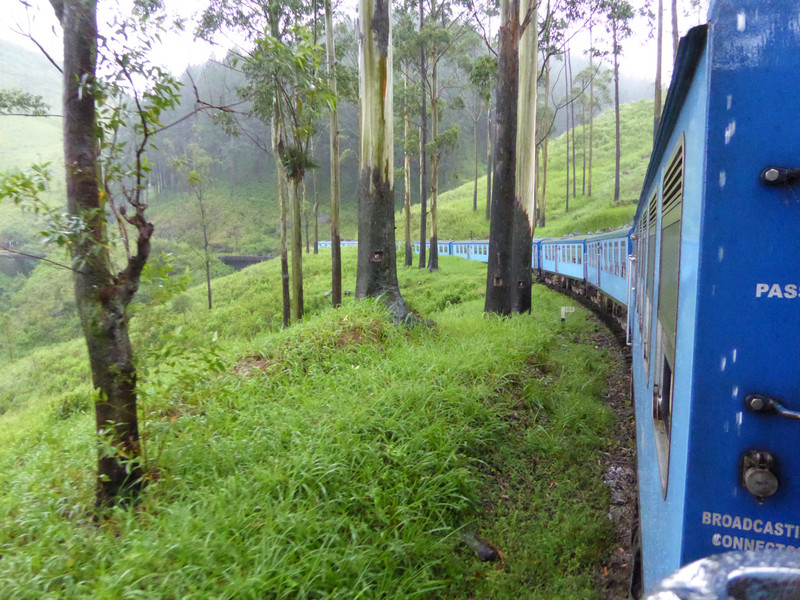 Passing through tea plantations and forest