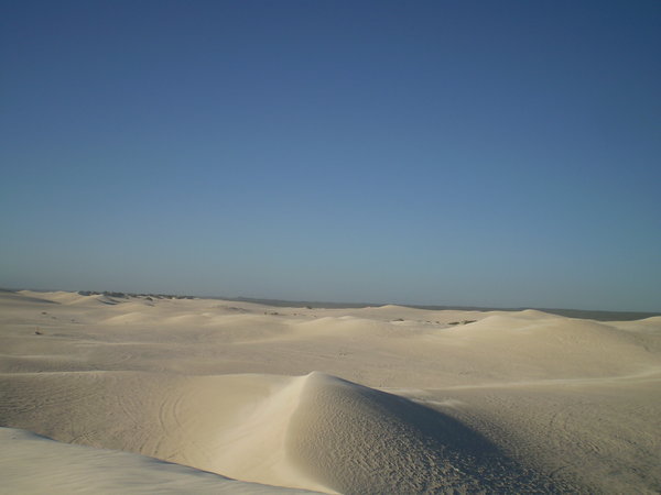 Nothing but dunes