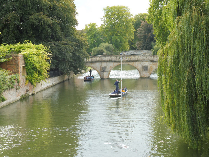 A punt on the River Cam