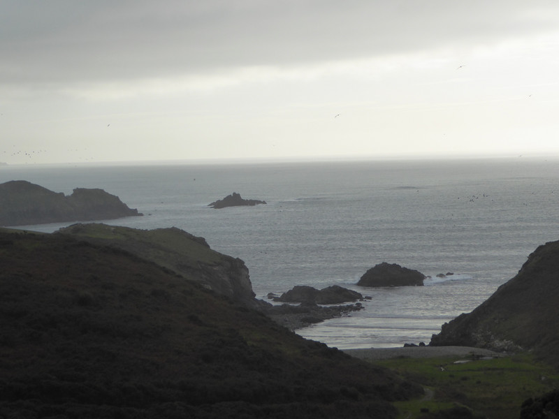 Looking down on the mouth of Solva harbour entrance