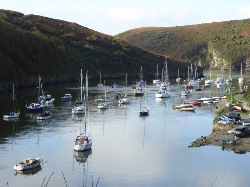 Solva harbour with the tide in