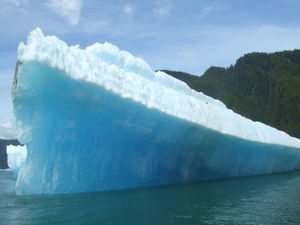 Petersburg boat trip iceberg