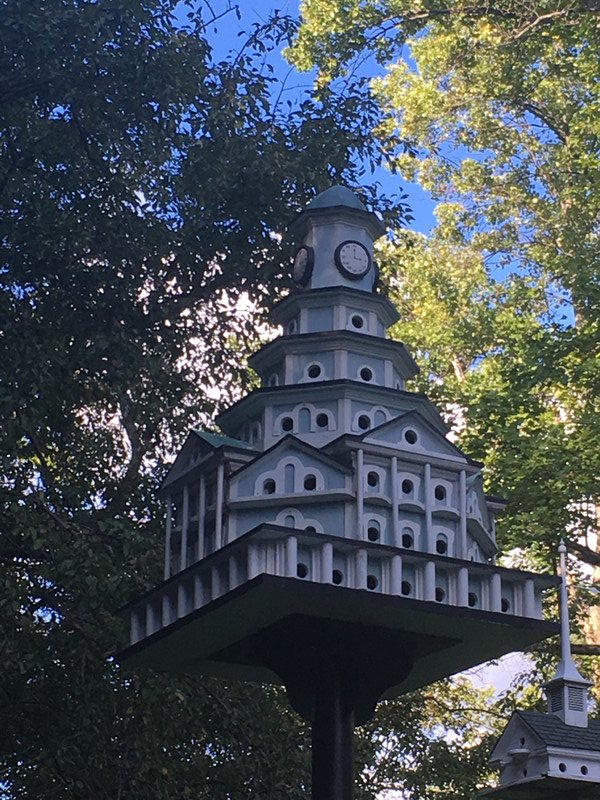 Even the bird houses are amazing