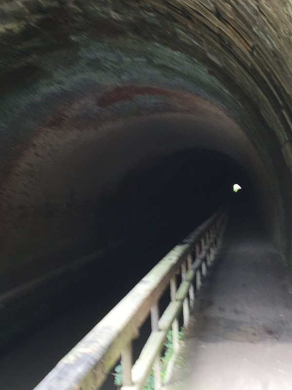 Pawpaw tunnel 