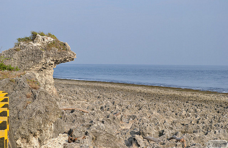 beach of pointy rocks
