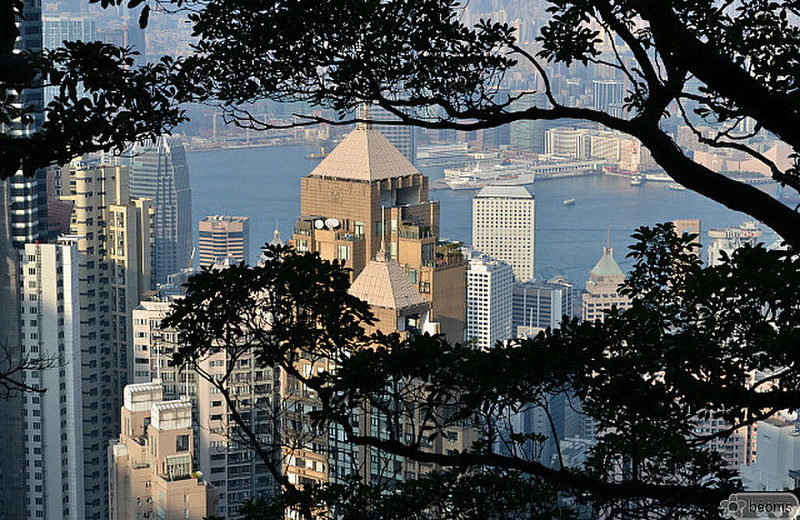 view from Victoria peak