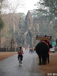gate to Angkor Thom, an elephant and Beryl