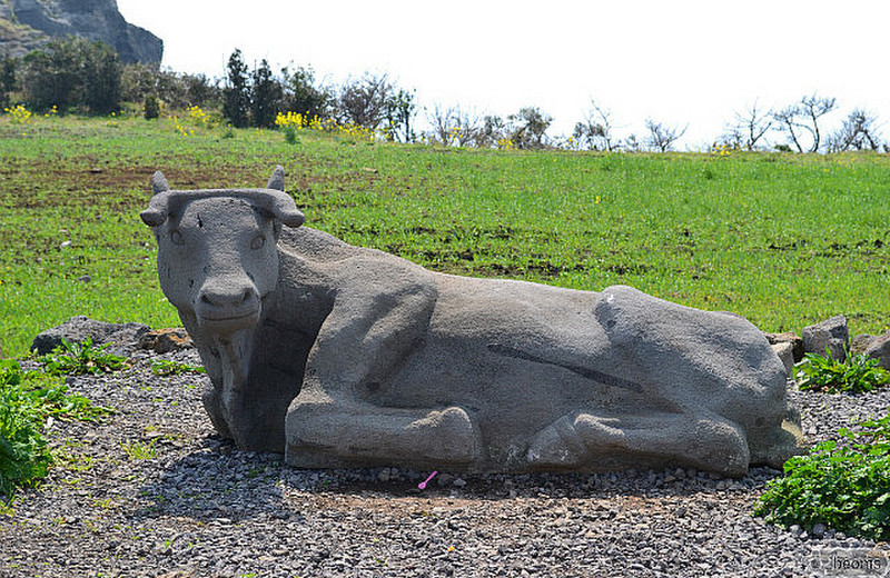 lying cow, shaped the same as U-do island