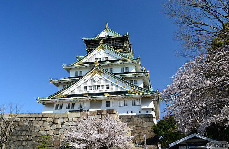 Osaka castle 