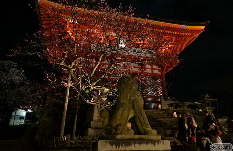 main gate, Kyomizu-dera at night