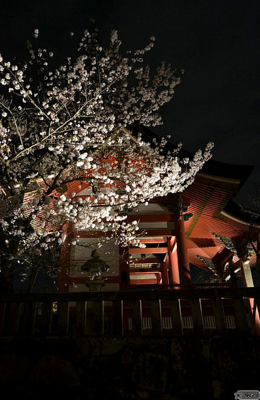 Kyomizu-dera at night