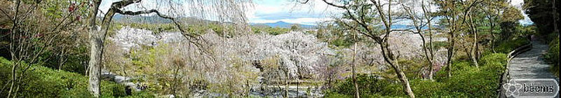 view of Tenryu-ji garden from above