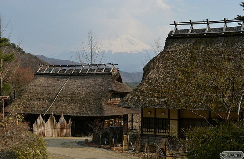 Iyashi village
