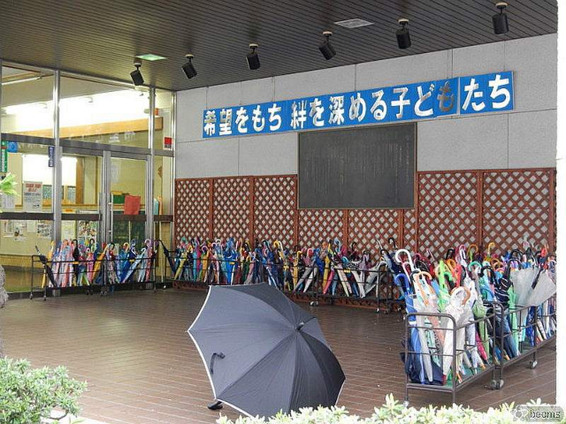 umbrellas waiting outside a school