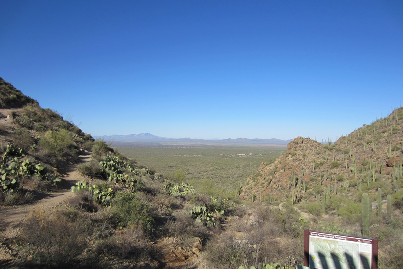 1 View of Sonoran Desert