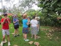4 our tour of fruit trees