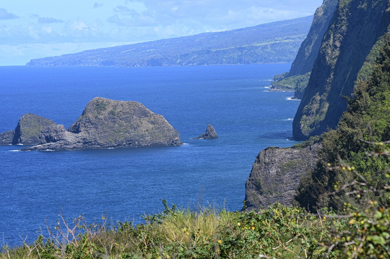 B View of the Pololu Valley north