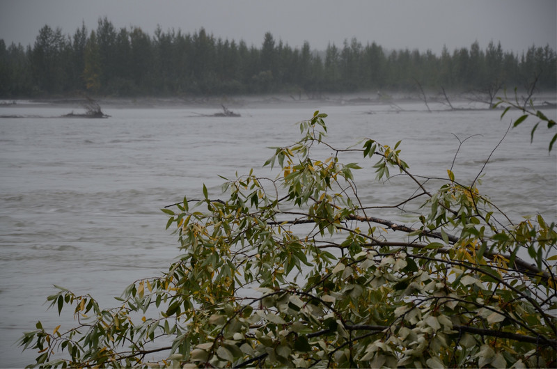 Susitna River at the confluence with the Chulitna and Talkeetna Rivers. 