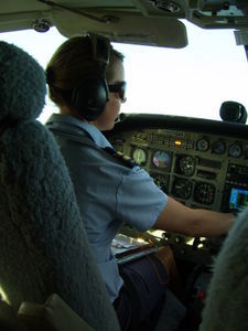 Chicky Pilot