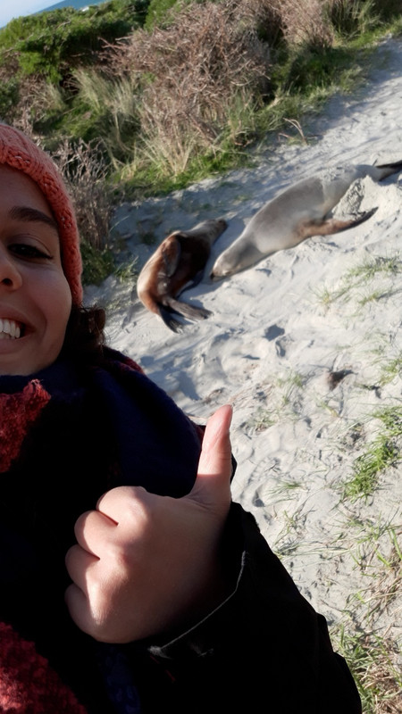 Just me with the sea lions