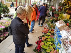 Flower Market 1