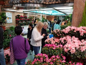 Flower Market 3