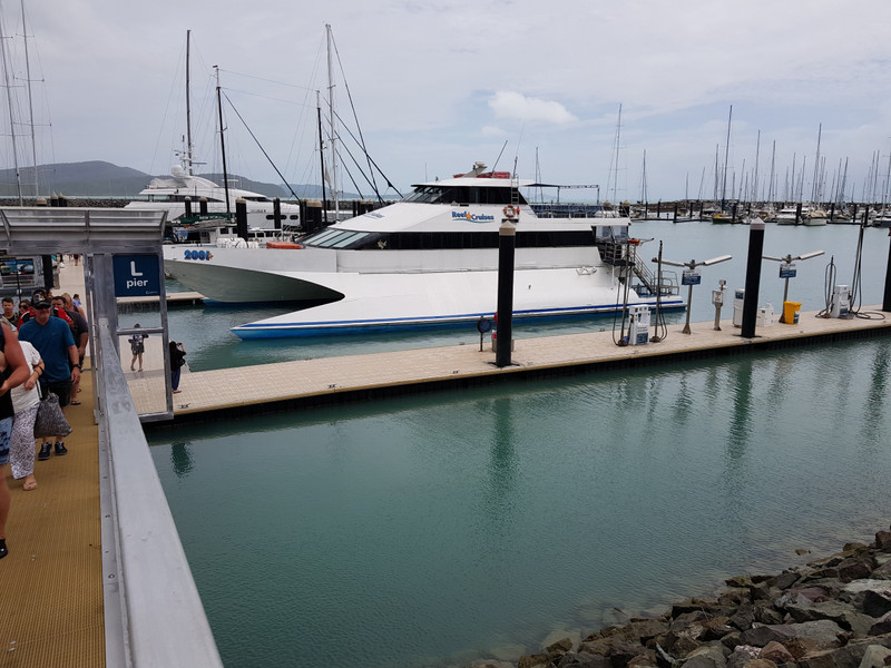 Our Airlie Beach chariot