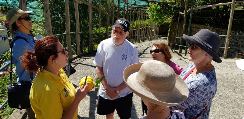 Our Guide Maria explaining lemons