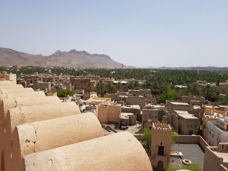 View over Nizwa from top of fort 2