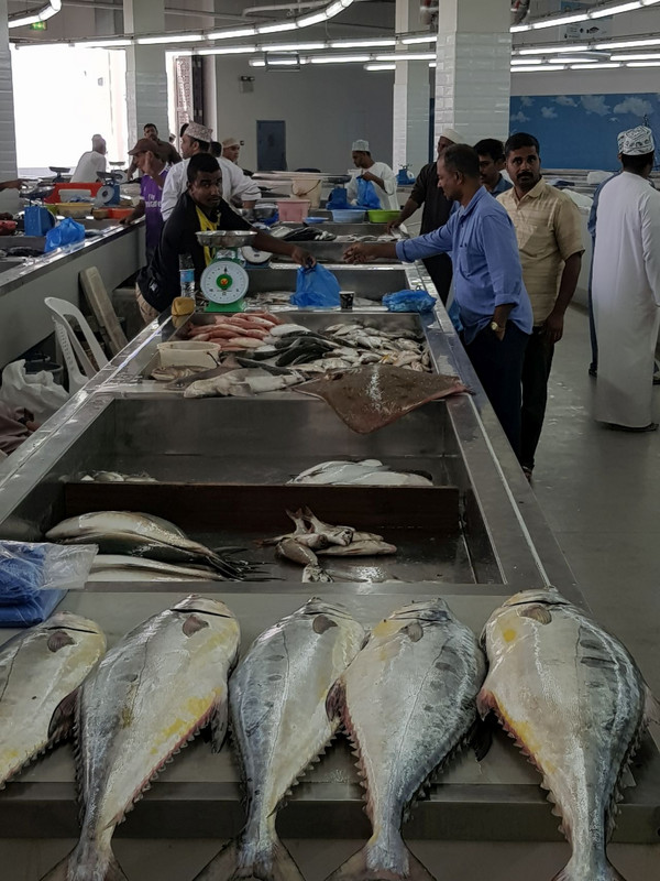 Muscat Fish Market