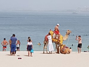 What is a beach without a camel