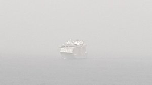 Spectrum of the Seas coming out of the mist 
