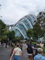 372 - Gardens by the Bay